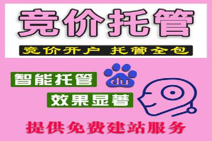 百度SEO推广公司案例研究：助力企业实现品牌提升